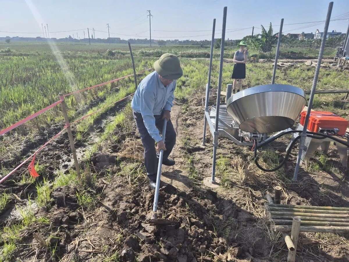 Gợi mở chính sách tín chỉ các-bon từ thực tiễn nông nghiệp